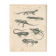 Gravure ancienne sur reptiles divers lézards pl3 1828