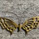 Brass wall decoration from the 70s and 80s