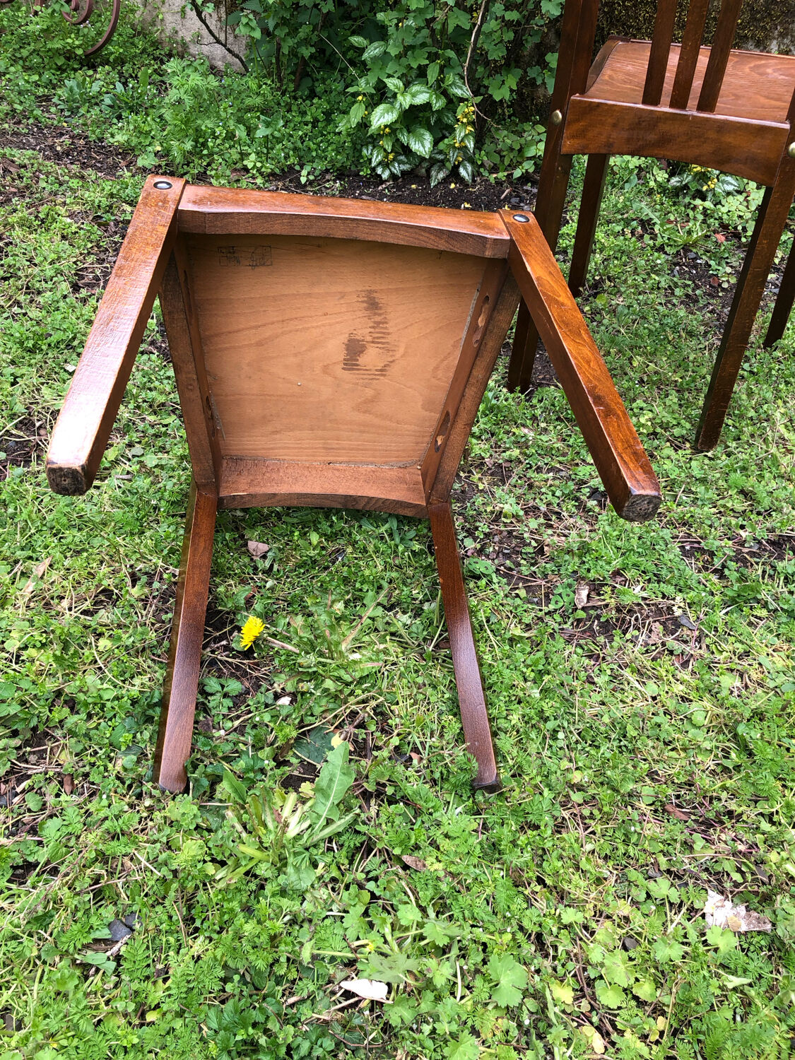 Duo chairs bistrot Stella