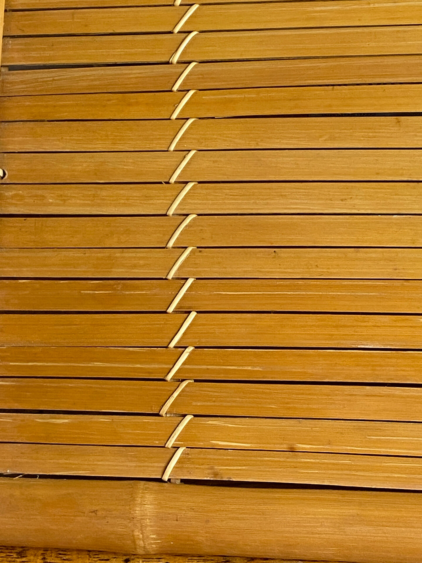 Bamboo platter