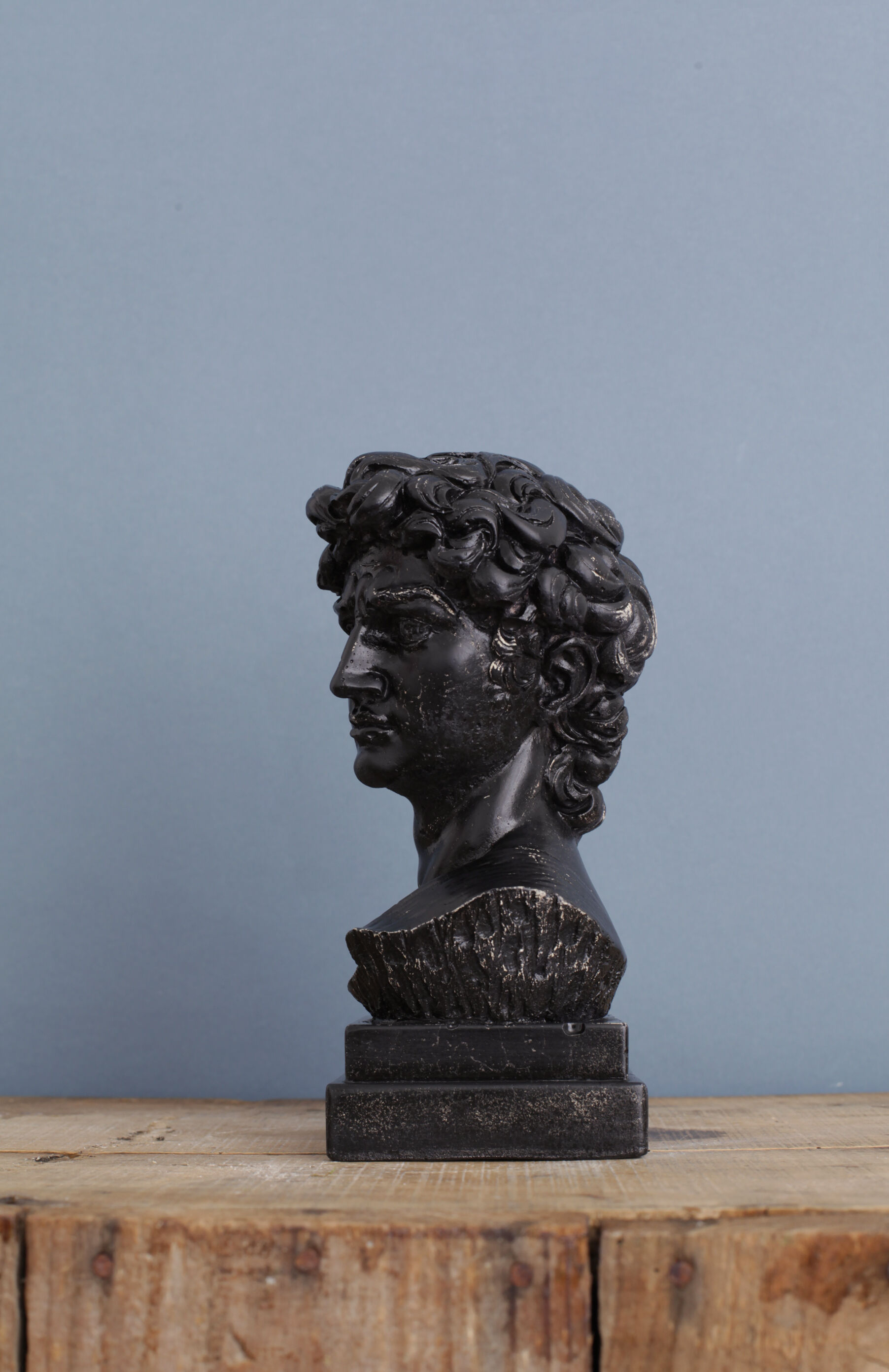 David head in black waxed bean