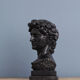 David head in black waxed bean