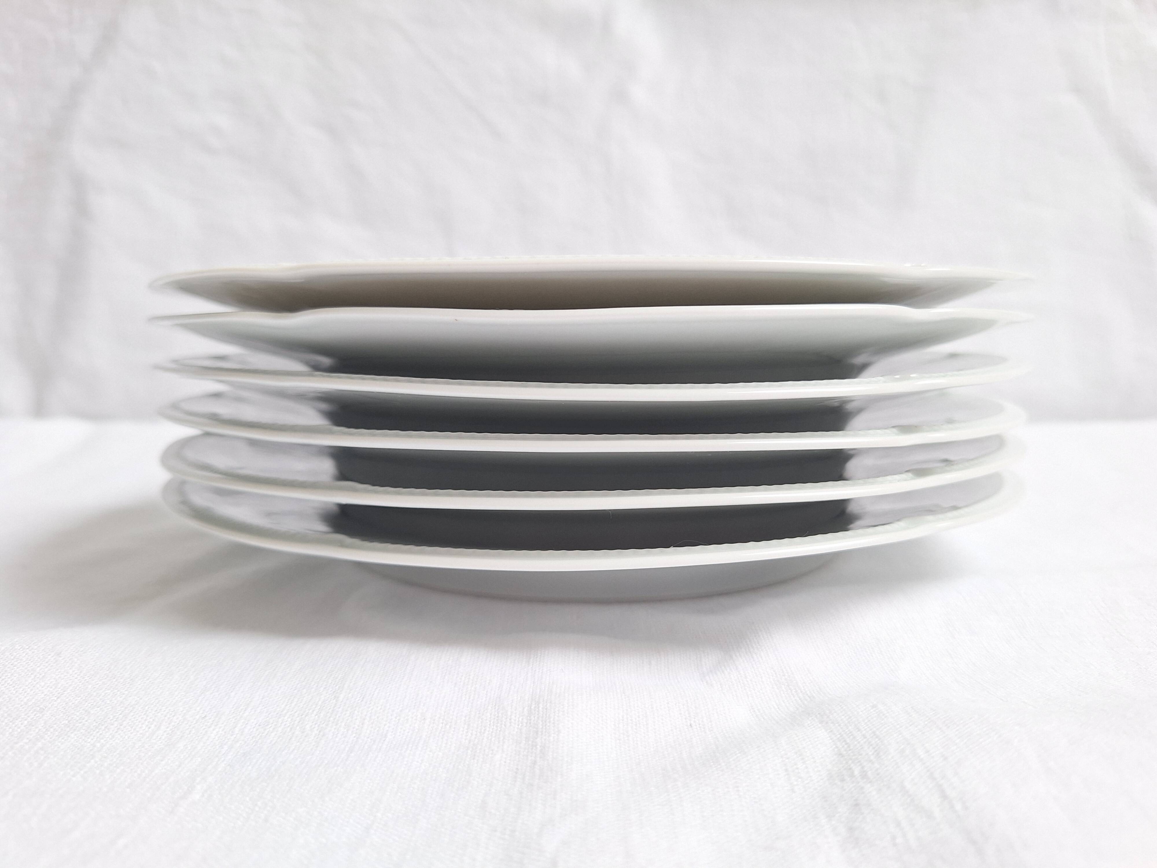 Limoges porcelain flat plates