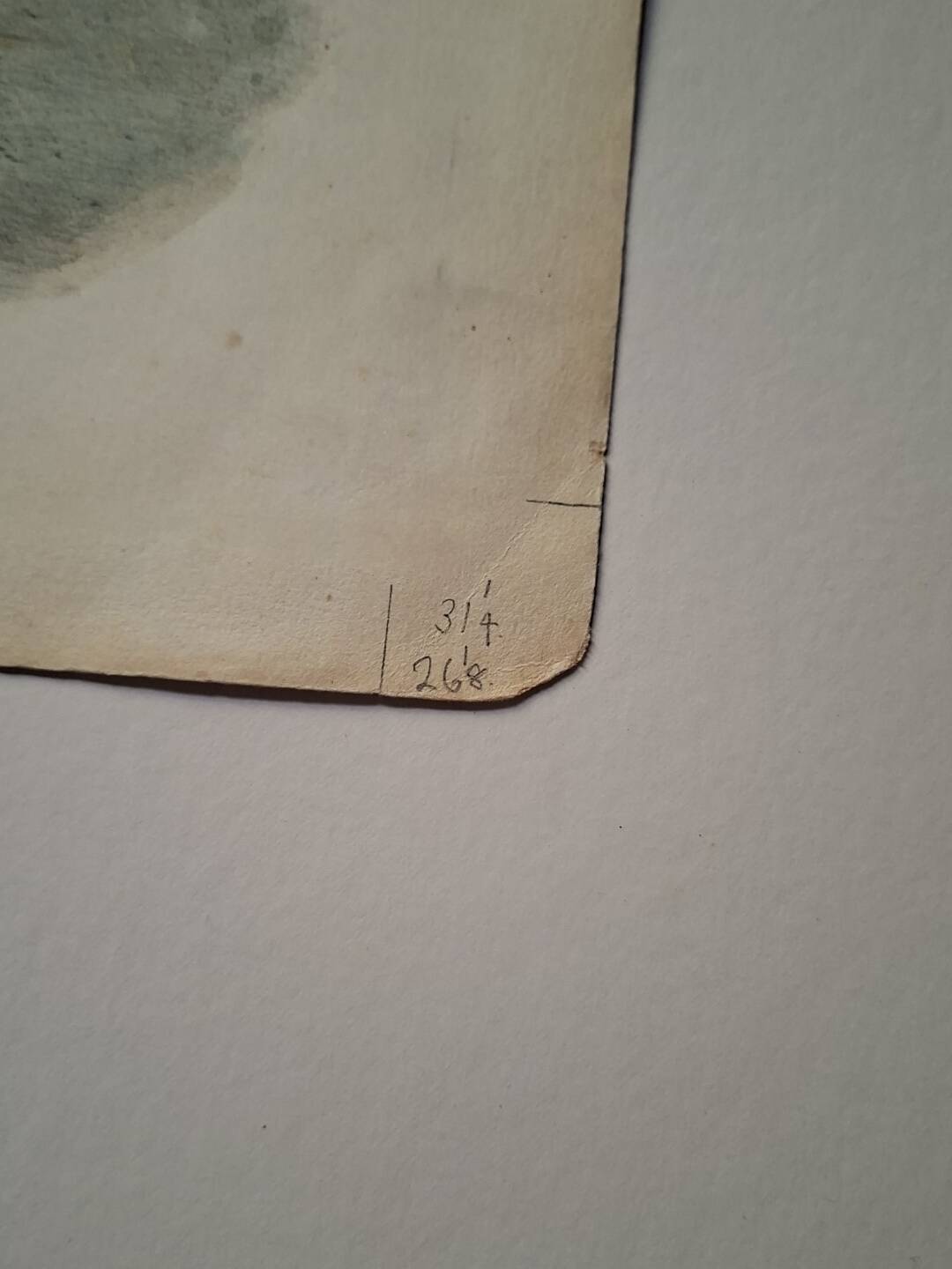 Engraving Daniel Giraud Elliot