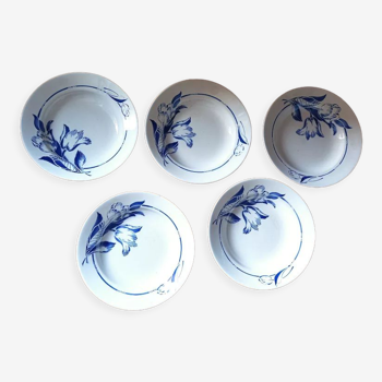 Set of 5 hollow plates St Amand in ceramic