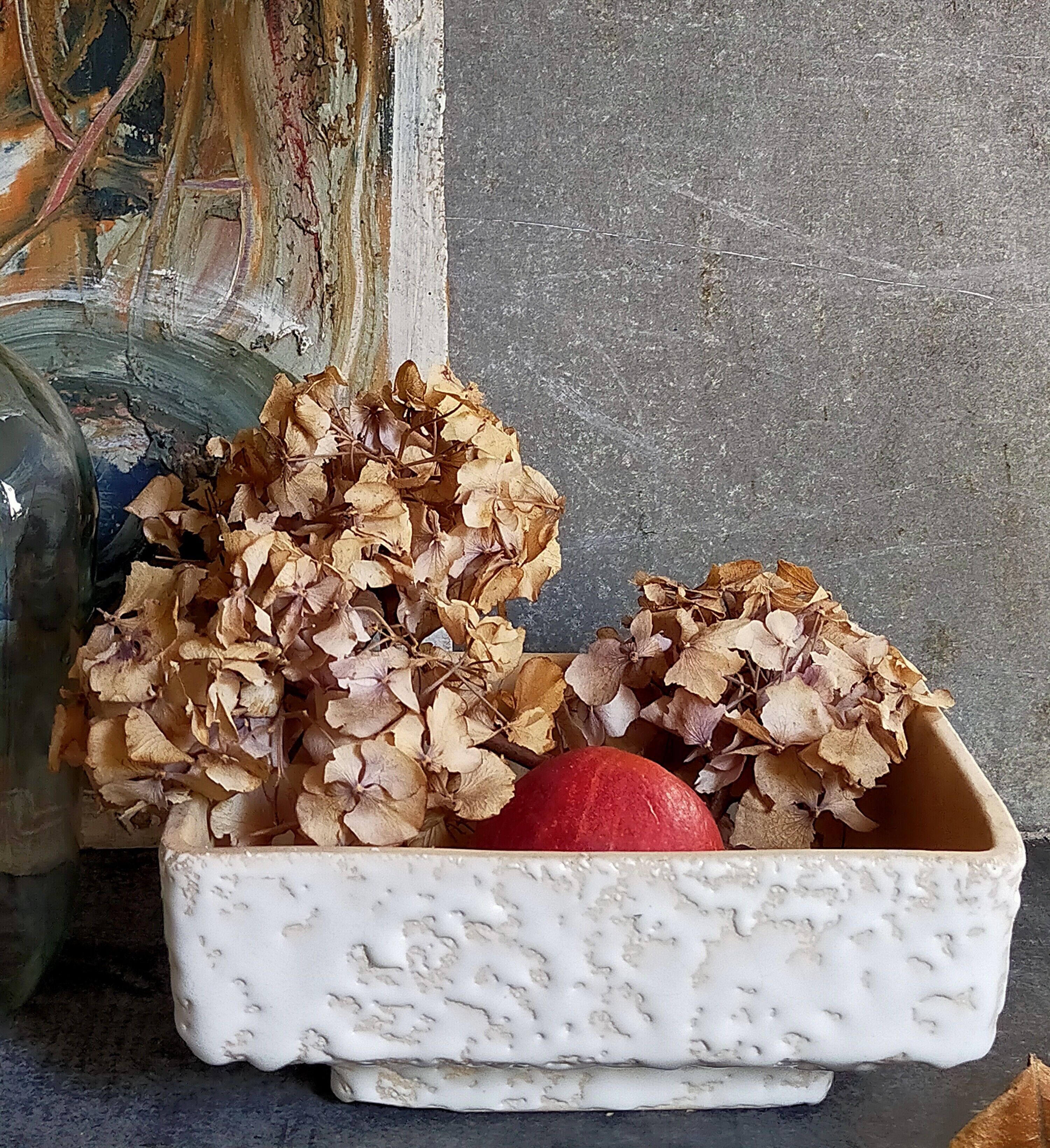 Ceramic cactus pot veter, west-germany model n° 64 with white foam