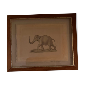 Framed drawing - wooden box