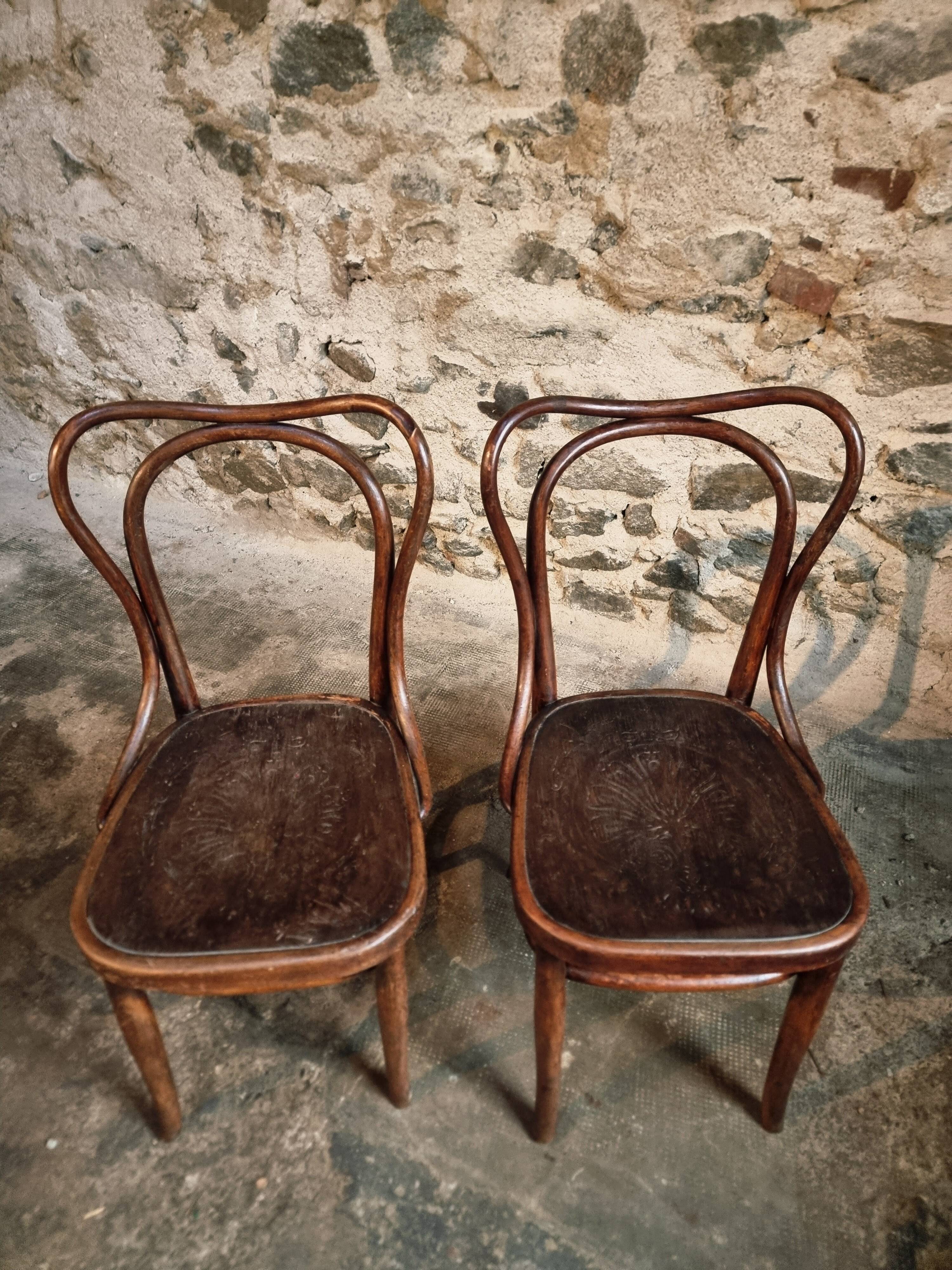 Pair of curved wooden chairs by Jacob & Josef Kohn, Vienna circa 1900