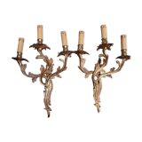 Appliques en bronze