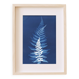 Tirage Cyanotype Original "LES FOUGERES" 21 x 30 cm avec Cadre