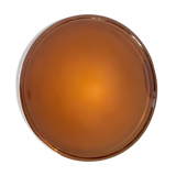 Empty vintage amber glass pocket