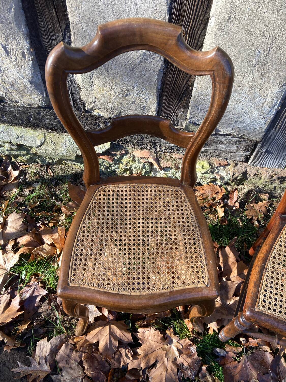 Paire de chaise anciennes en bois cannage Louis Philippe XIXème / chaise cannées