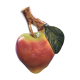 Soliflore pomme en barbotine