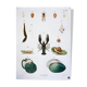 Affiche "moules, fleurs, bestioles" par Schlereth 1879