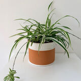 Terracotta cache-pot and slip - Maison Chaumette Paris