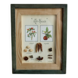 Vintage frame "The spices"