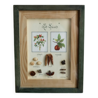 Vintage frame "The spices"