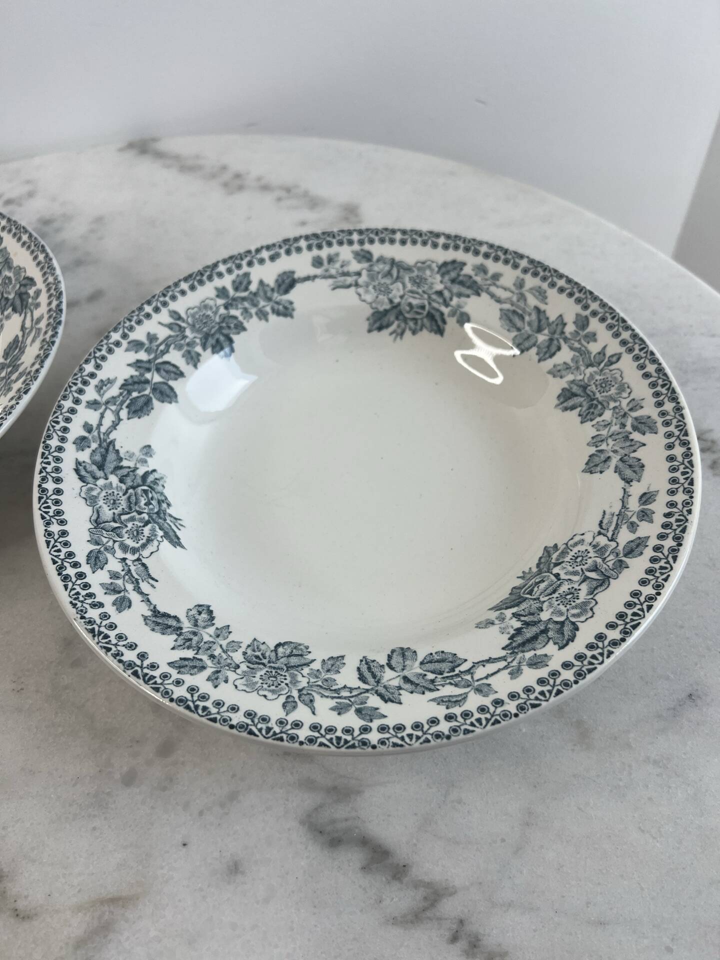 Set of 2 deep plates in ironstone Sarreguemines Digoin Guadel
