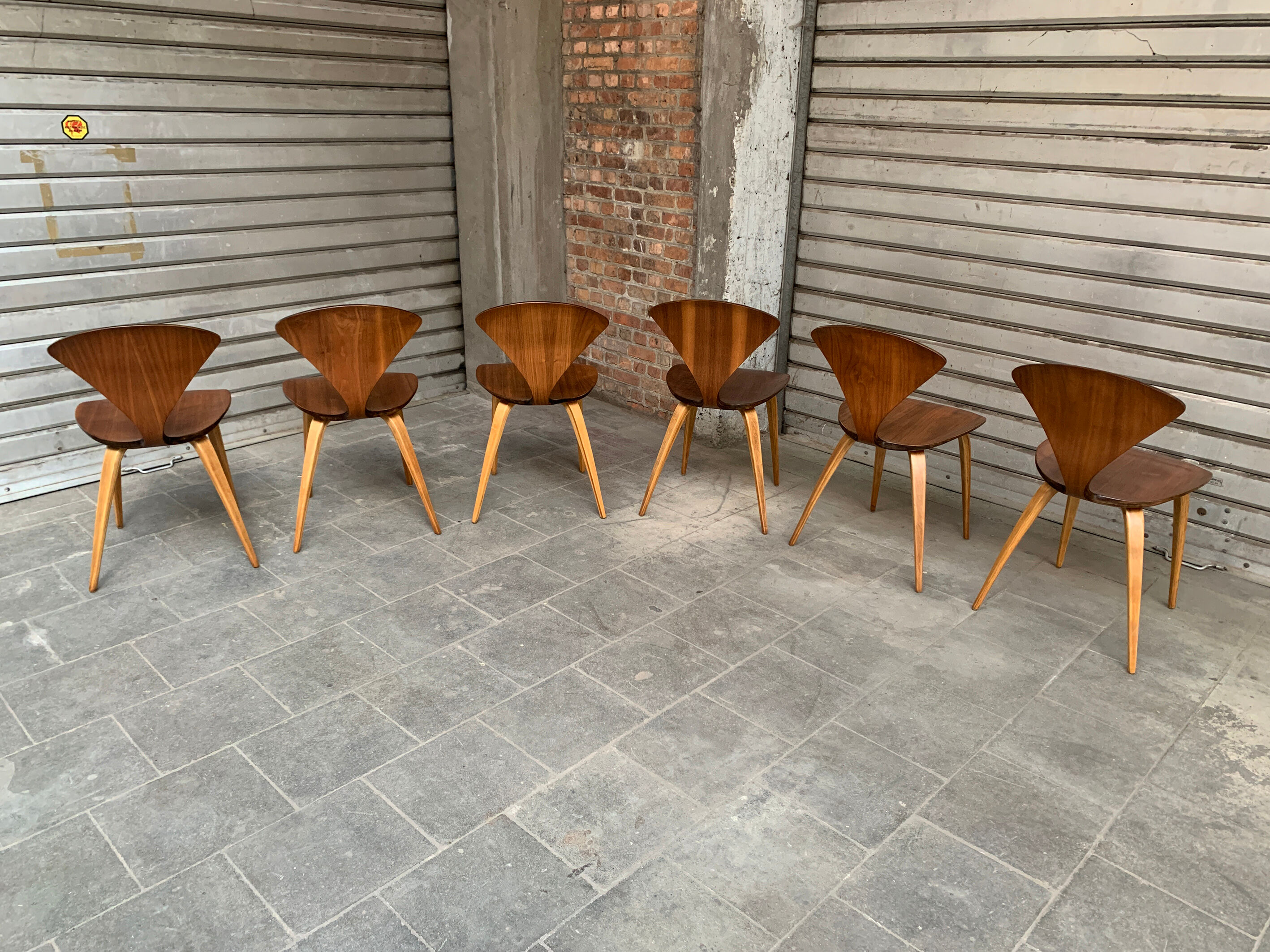 Series of 6 Norman Cherner chairs for Plycraft USA in teak, 1960s