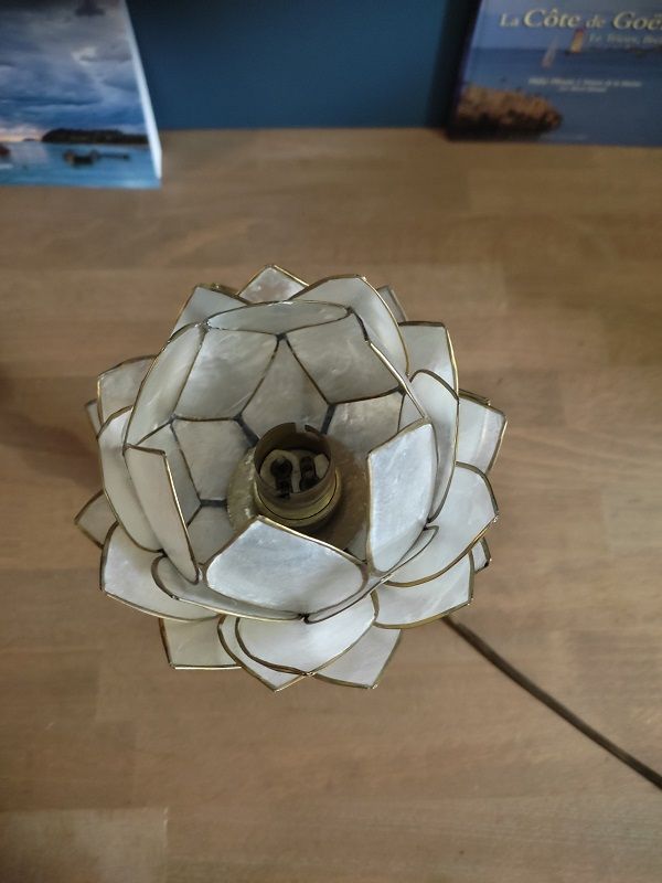 Bedside lamp flower lotus mother-of-pearl base bronze brass dp 0123247