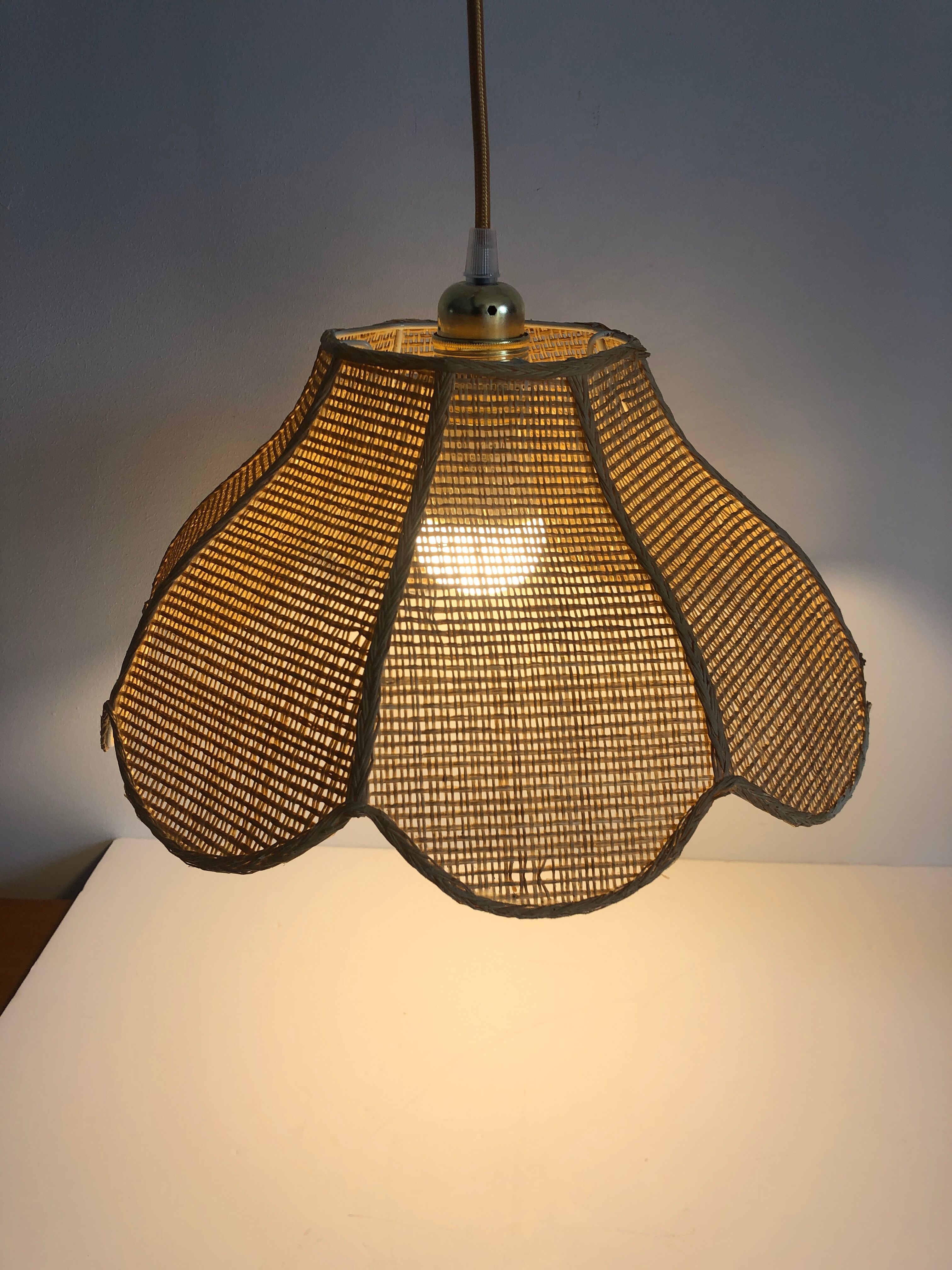 Rattan flower suspension