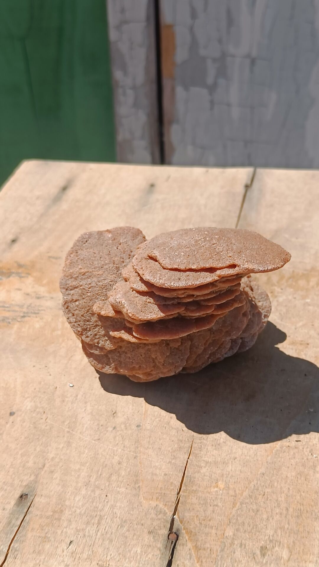 Natural sand rose
