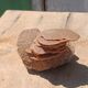 Natural sand rose