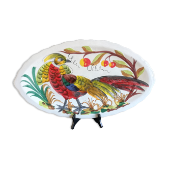 Large oval pheasant dish in faience of Italy