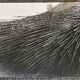 Photograph black and white silver print circa 1970 architecture