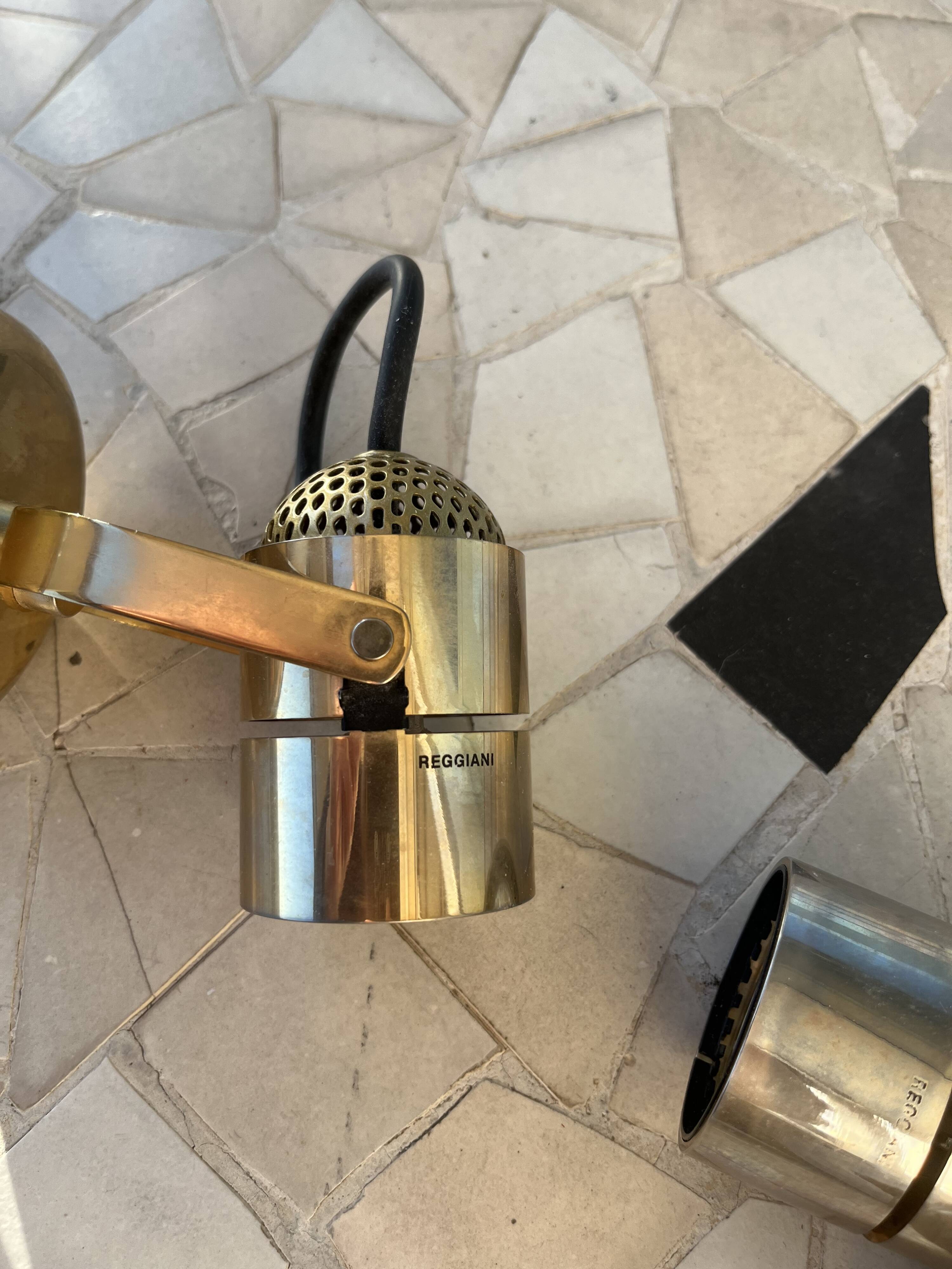 Spot mural Regianni with switch