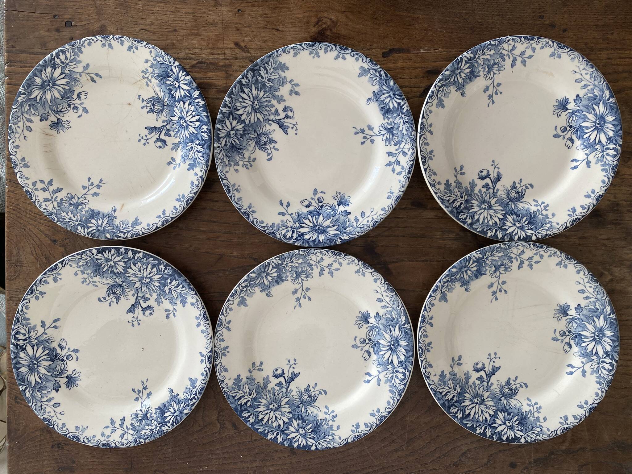 6 assiettes plates en terre de fer Gien "fleur d'automne"
