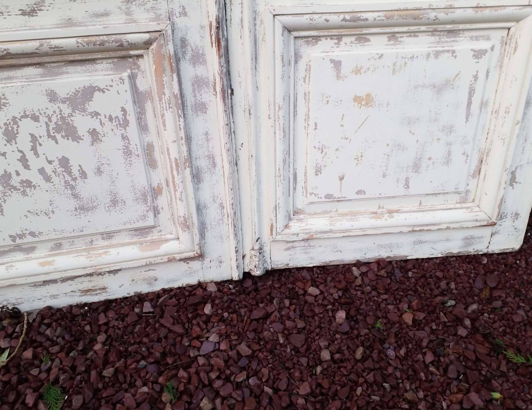 Pair of antique doors