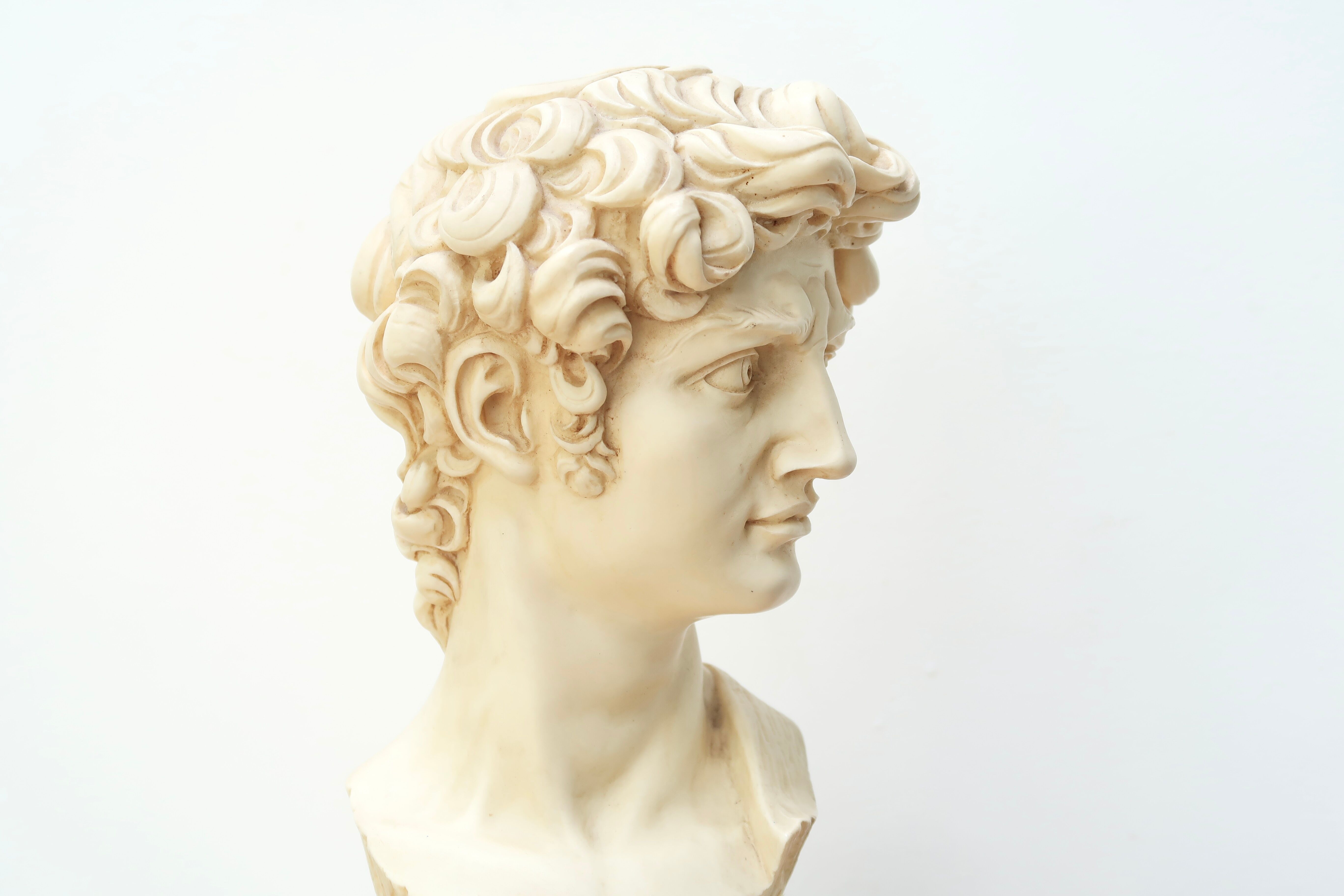 Bust of David by Michelangelo, 50s