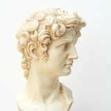 Bust of David by Michelangelo, 50s