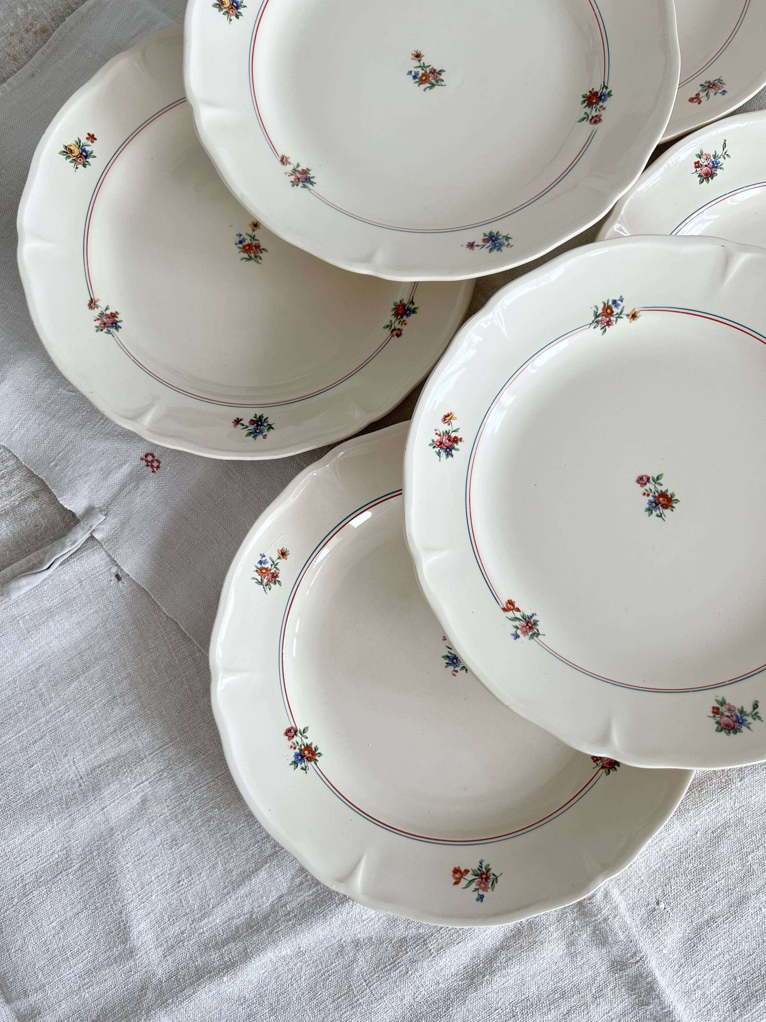 Set of 12 mdl plates - beauce model