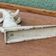Old cast iron rabbit door wedge