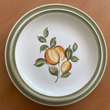 5 assiettes plates anciennes en faïence de Gien