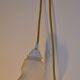 Frosted glass deco walker forms tulip pattern hangings