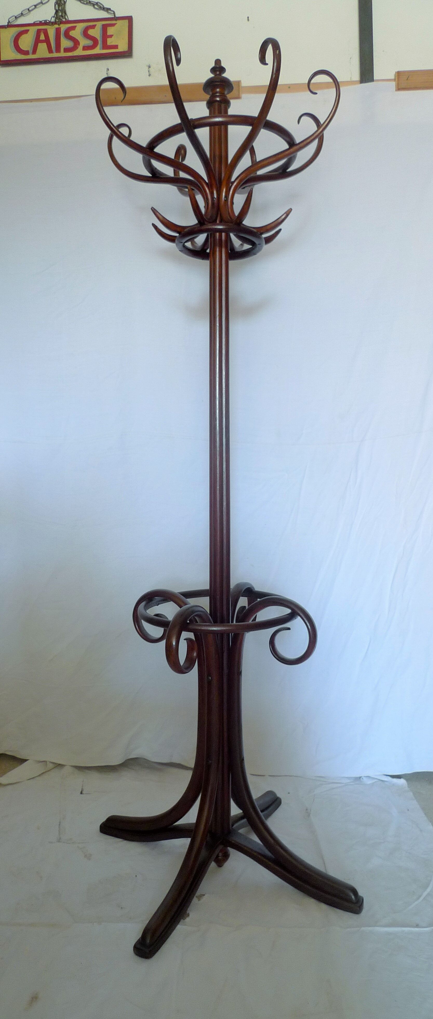 Wearing parrot coat 8 branches