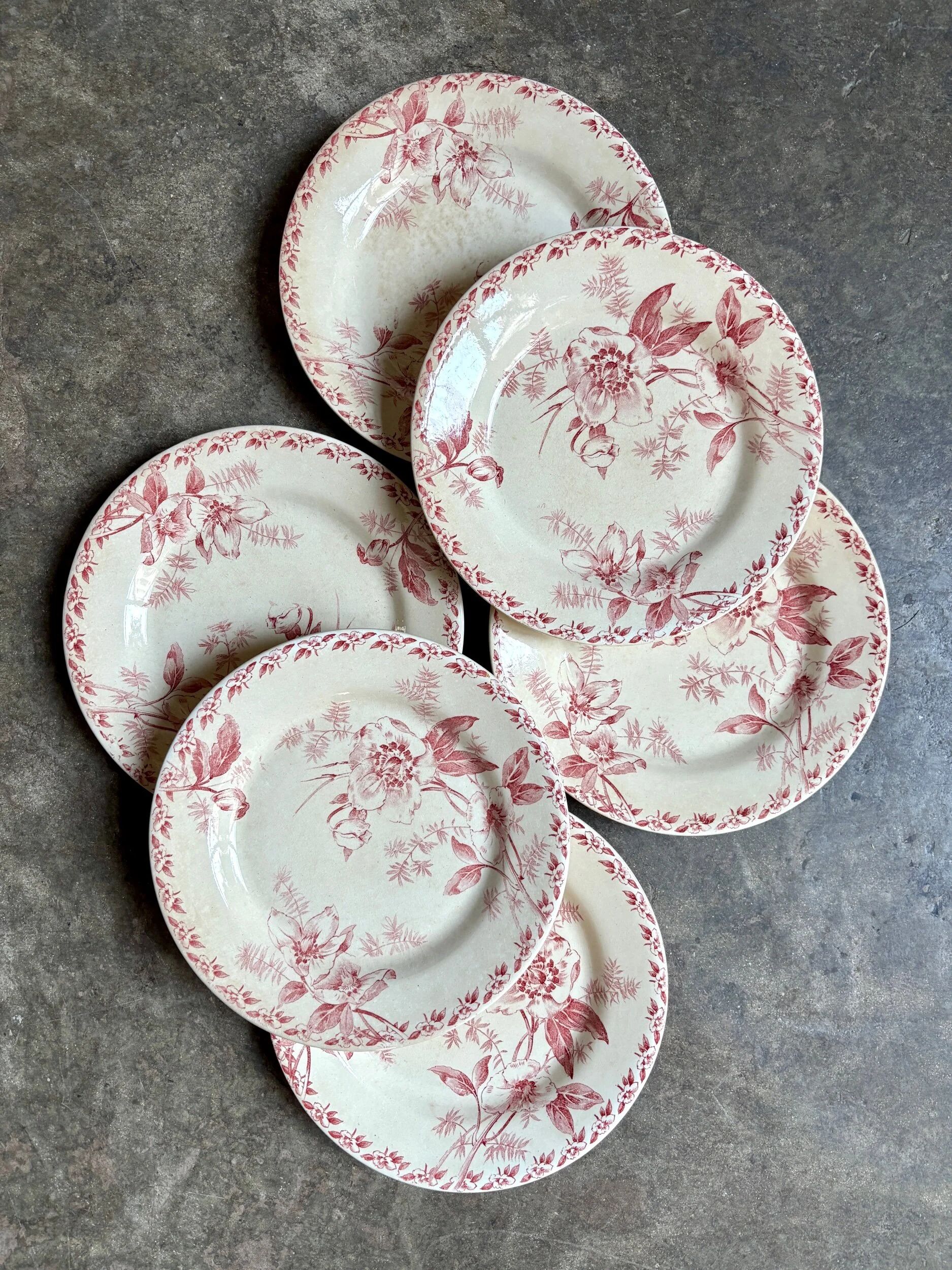 6 assiettes plates Gien en terre de fer rose, service "Roses de Noël"