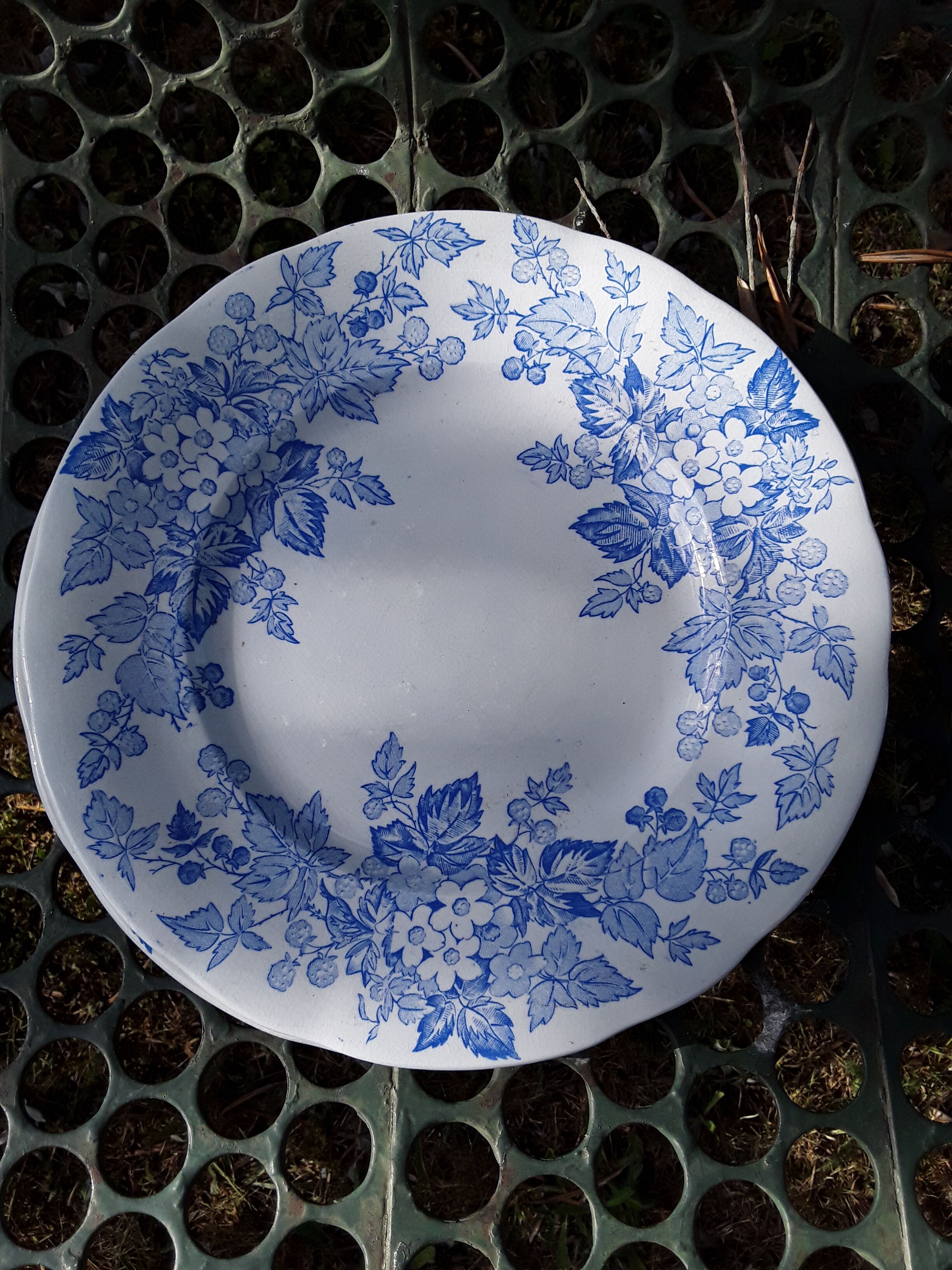 6 plates Sarreguemines Iron Land