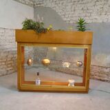 illuminated planter display case from the 1950s