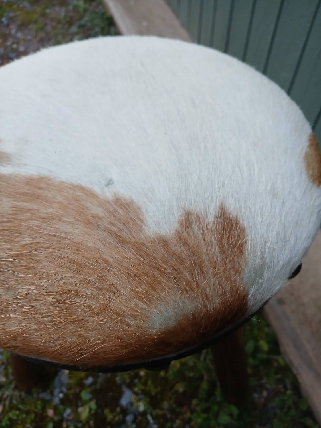 Tabouret tripode ancien en bois et peau de vache
