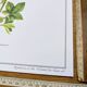 Printed in 1986, the Mauve. Vintage Botany.