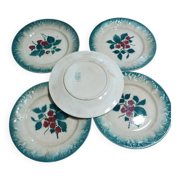 Set of 5 vintage dessert plates Faïencerie de Castres Model Fruits