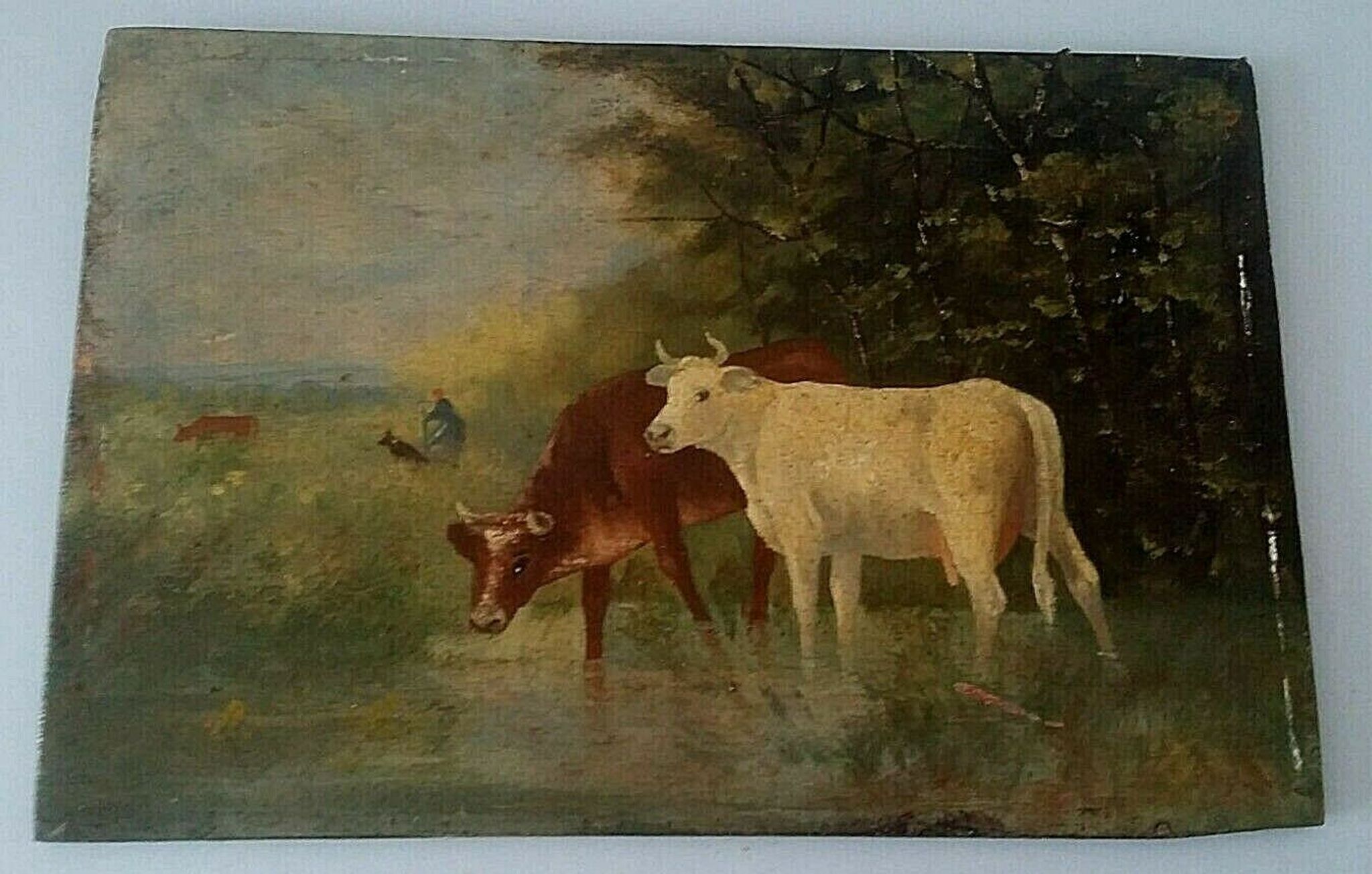 Table oil on panel cows late 19th early 20th century