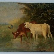 Table oil on panel cows late 19th early 20th century