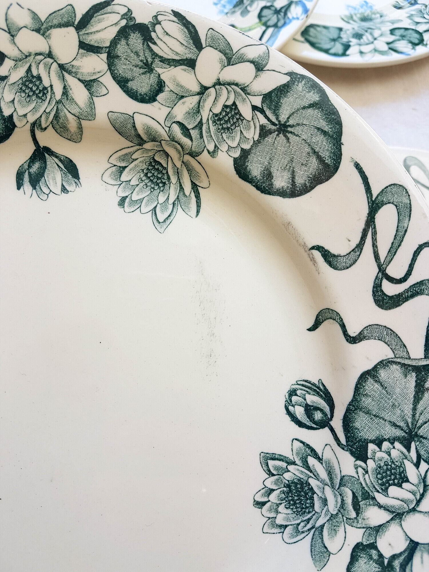 Lot de 6 assiettes plates Terre de Fer "Nénuphar" R&A Salins