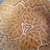 Set of 2 slurry plates