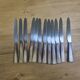 12 large knives Pajot Reims
